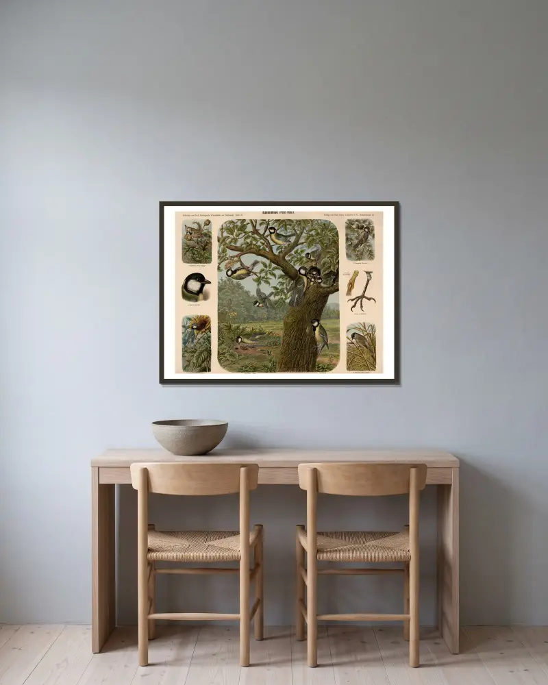 Kohlmeise (Parus major) von Albert Kull gerahmt an einer Wand