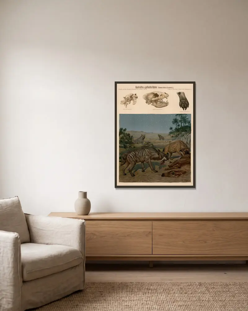 Streifenhyäne und Tüpfelhyäne (Hyaena striata und Hyena crocuta) von Albert Kull gerahmt an einer Wand