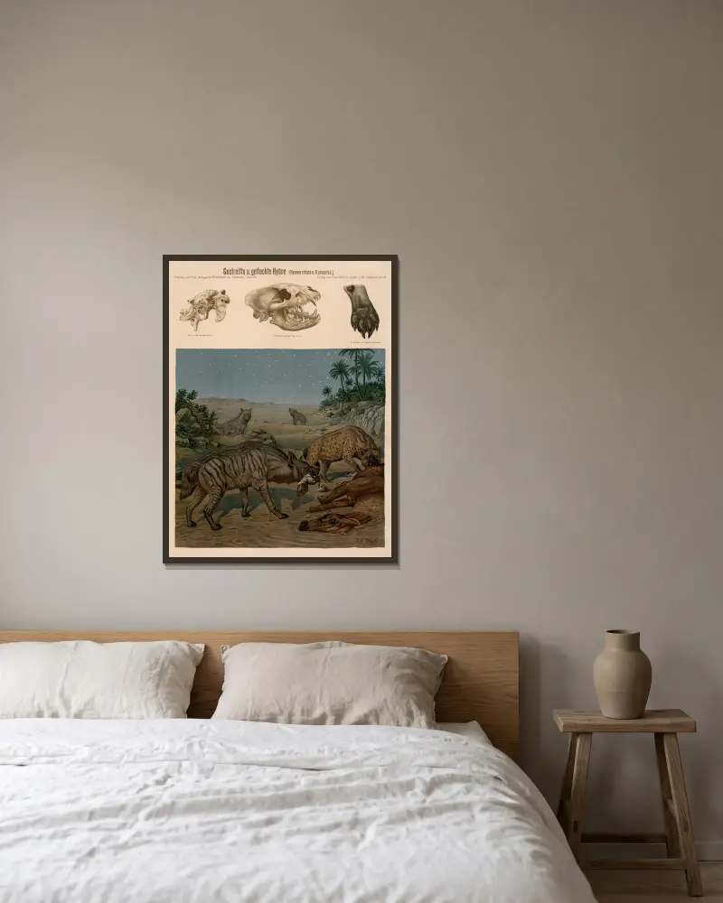 Streifenhyäne und Tüpfelhyäne (Hyaena striata und Hyena crocuta) von Albert Kull gerahmt an einer Wand