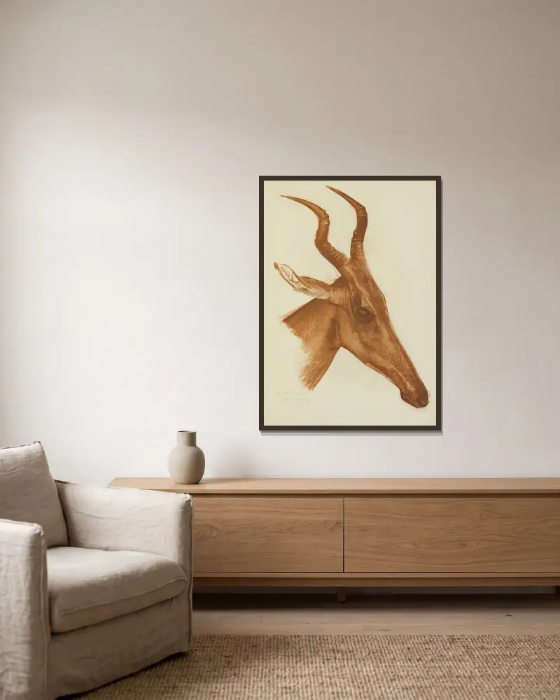 Antilope (Am Dafok) von Alexandre Jacovleff gerahmt an einer Wand