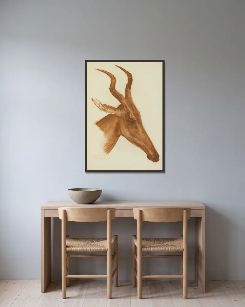 Antilope (Am Dafok) von Alexandre Jacovleff gerahmt an einer Wand