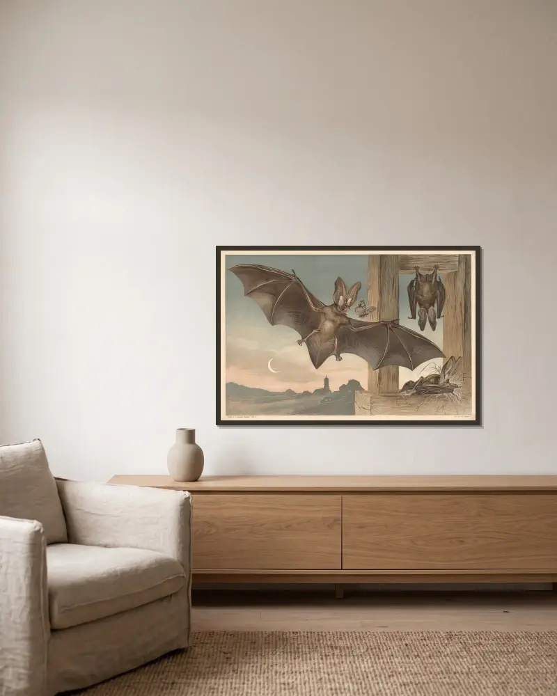 Fledermäuse von Alfred Fiedler gerahmt an einer Wand