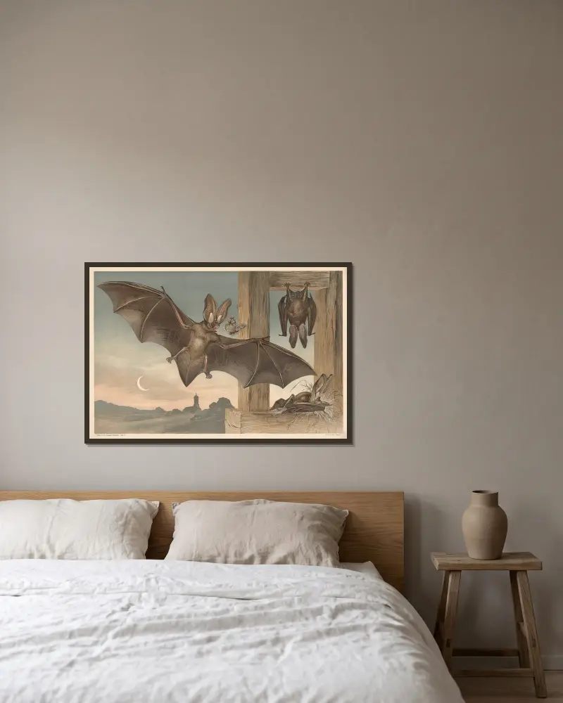 Fledermäuse von Alfred Fiedler gerahmt an einer Wand