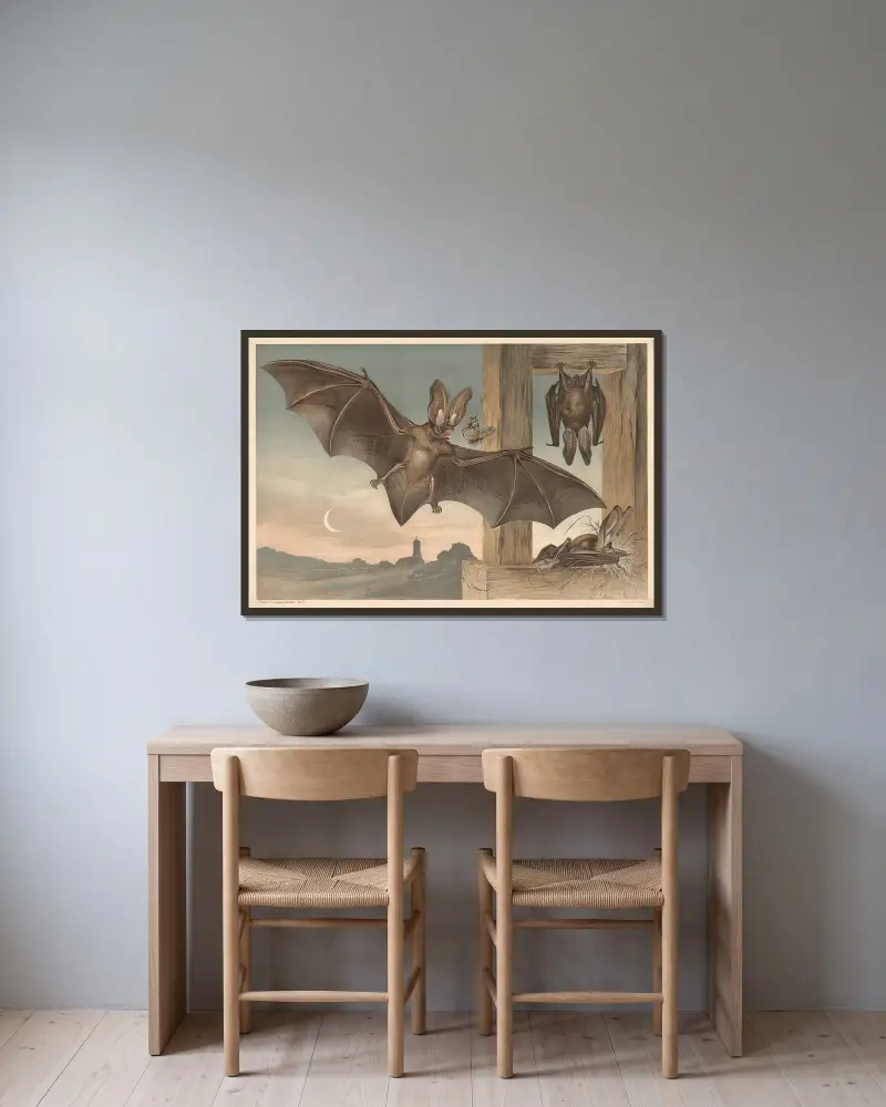 Fledermäuse von Alfred Fiedler gerahmt an einer Wand