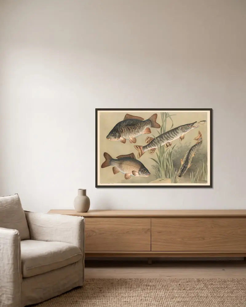 Carp and pike av Alfred Fiedler inramad på en vägg