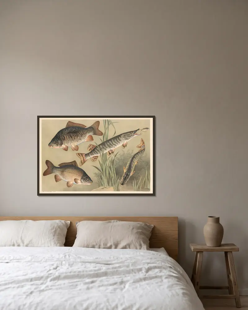 Carp and pike av Alfred Fiedler inramad på en vägg