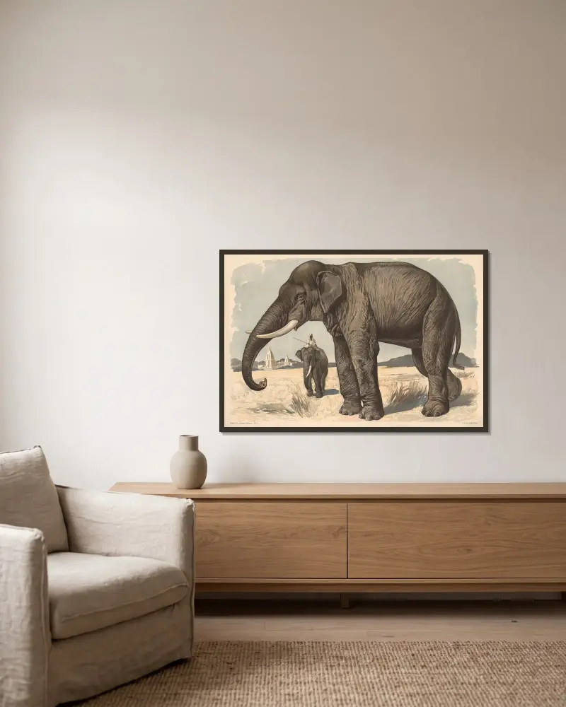 Elefant von Alfred Fiedler gerahmt an einer Wand
