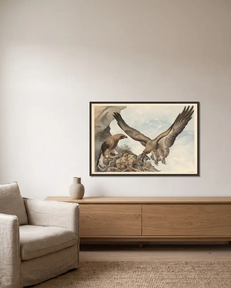 Steinadler von Alfred Fiedler gerahmt an einer Wand