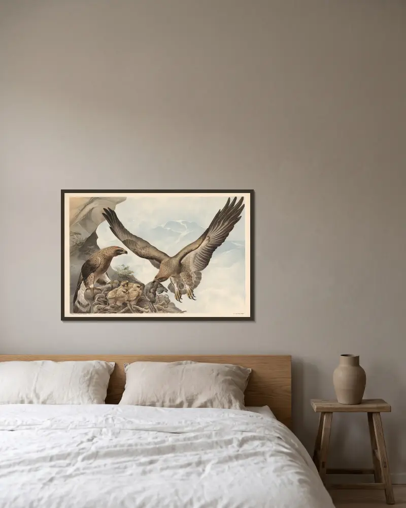 Steinadler von Alfred Fiedler gerahmt an einer Wand