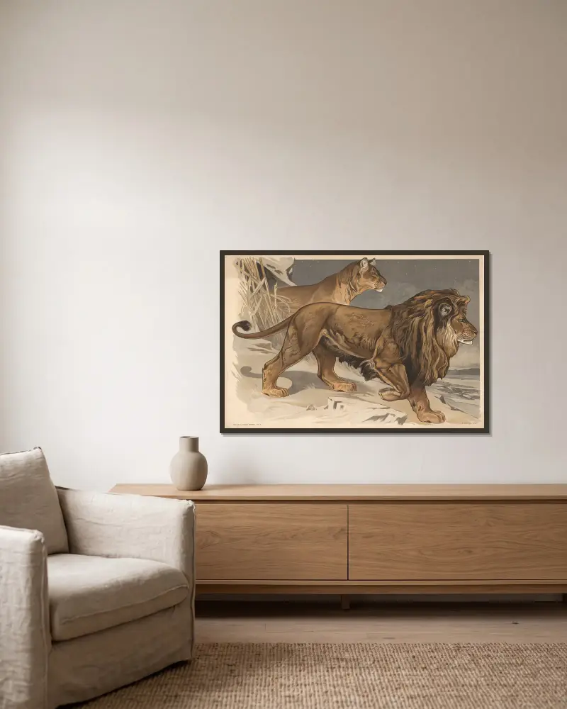 Löwe von Alfred Fiedler gerahmt an einer Wand