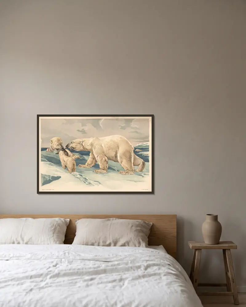 Polar bear av Alfred Fiedler inramad på en vägg