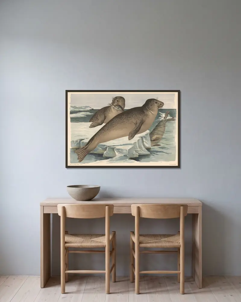 Seehund von Alfred Fiedler gerahmt an einer Wand