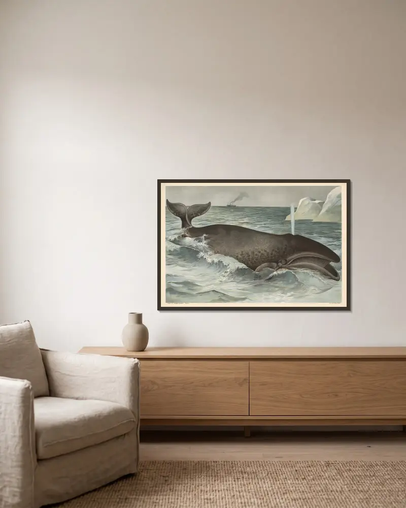 Wal von Alfred Fiedler gerahmt an einer Wand