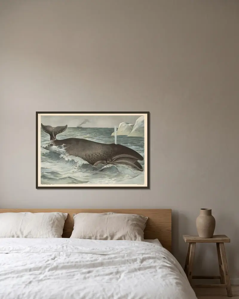 Wal von Alfred Fiedler gerahmt an einer Wand