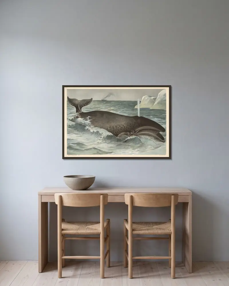 Wal von Alfred Fiedler gerahmt an einer Wand