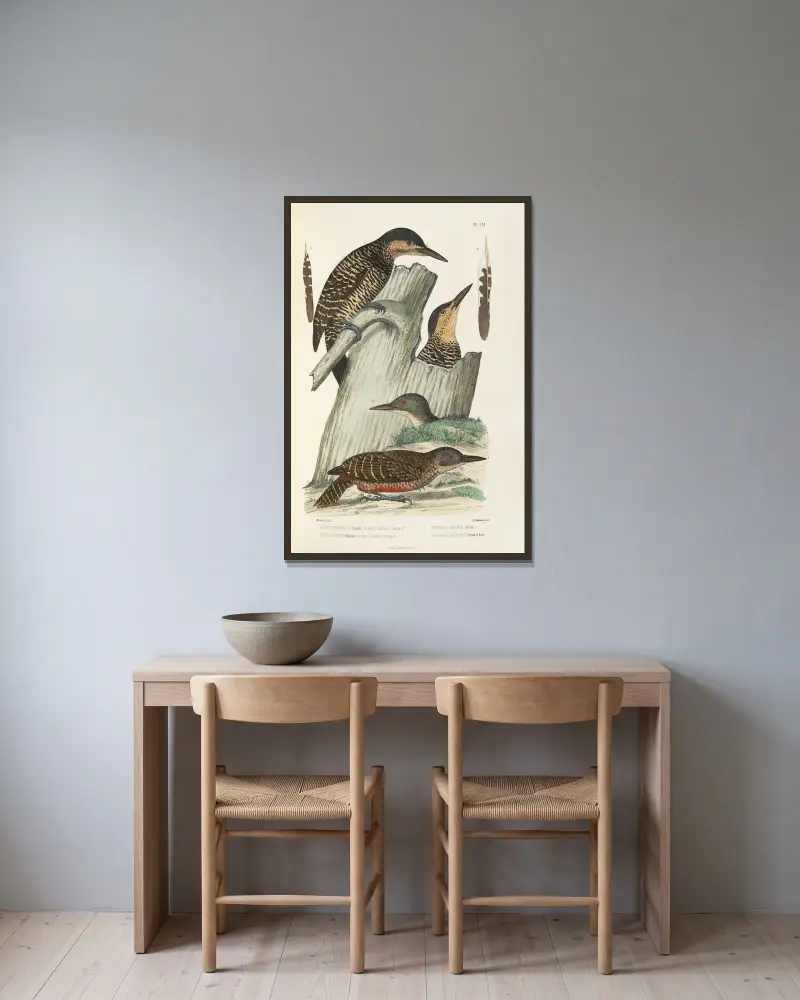 Monographie des picidées pl40 av Alfred Malherbe inramad på en vägg