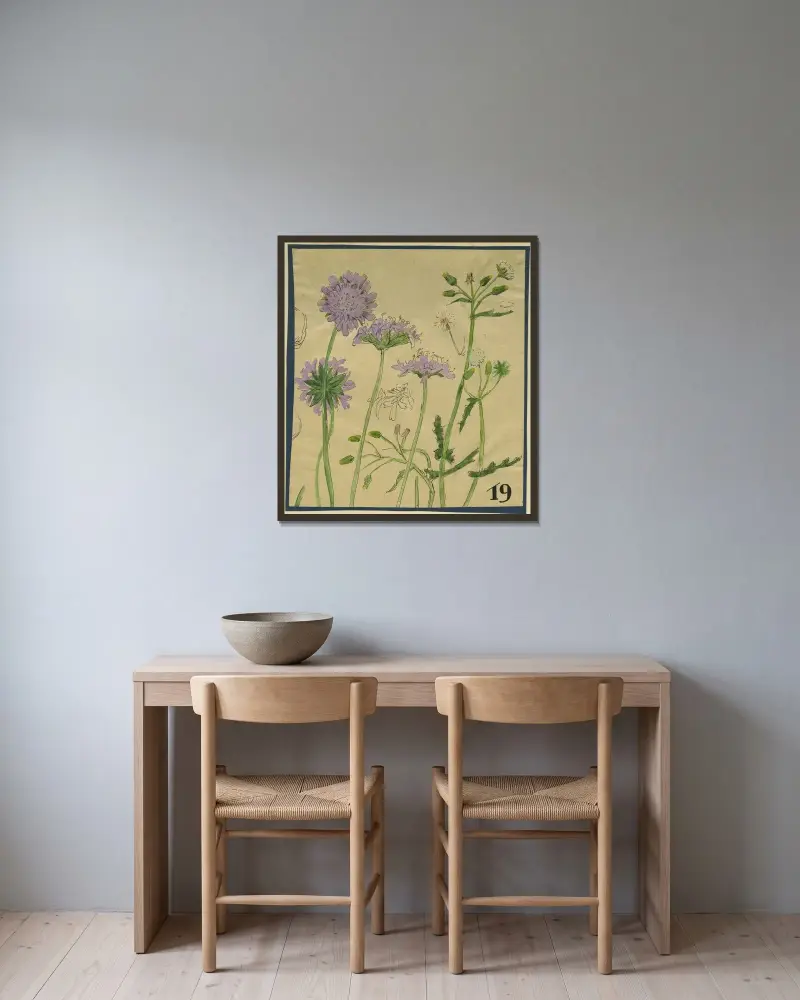 Åkervädd (Knautia arvensis) och korsört (Senecio vulgaris) av Alfred Ost inramad på en vägg