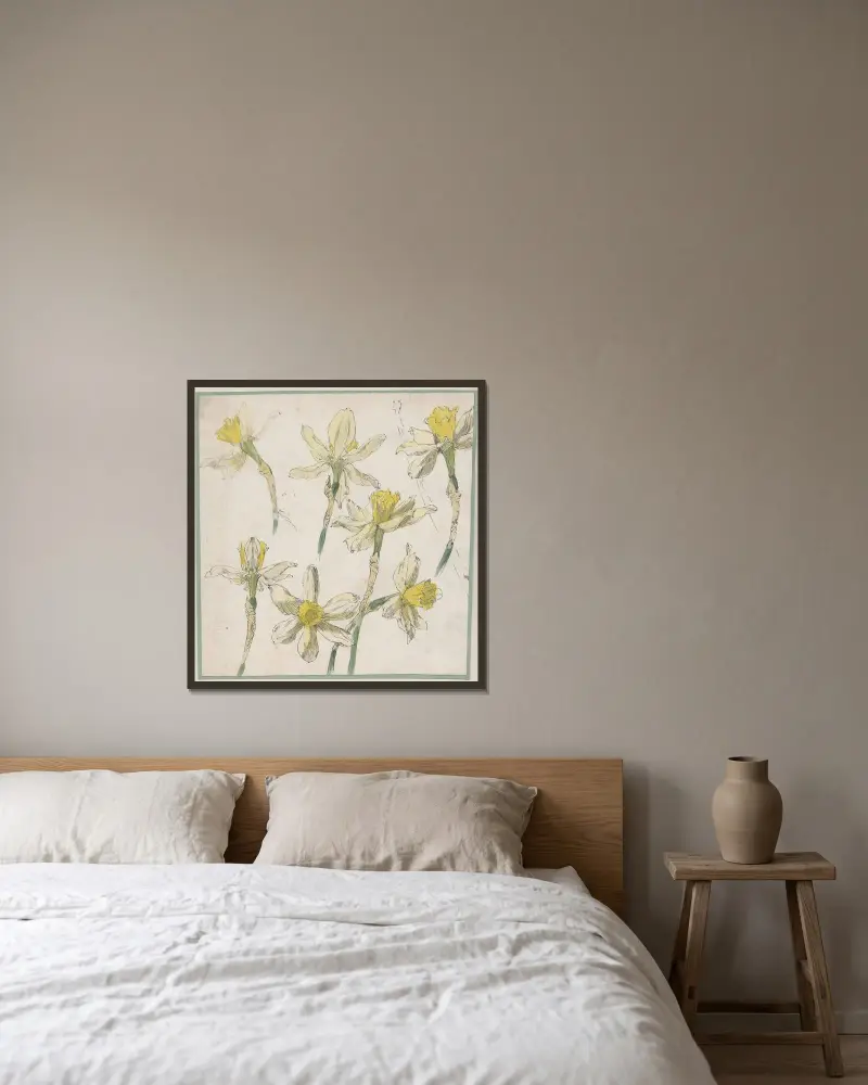 Blomstudie av trumpetnarciss eller den gula narcissen av Alfred Ost inramad på en vägg
