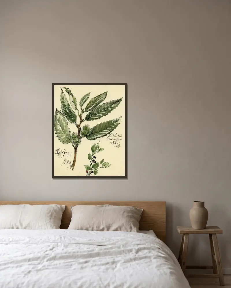 Planten av Alfred Ost inramad på en vägg