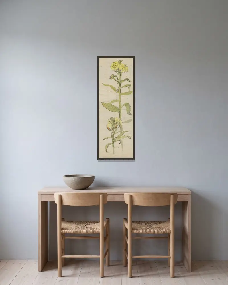 Teunisbloem (Oenothera Lamarckiana) av Alfred Ost inramad på en vägg