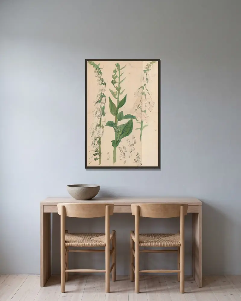 Vit fingerborgsblomma av Alfred Ost inramad på en vägg
