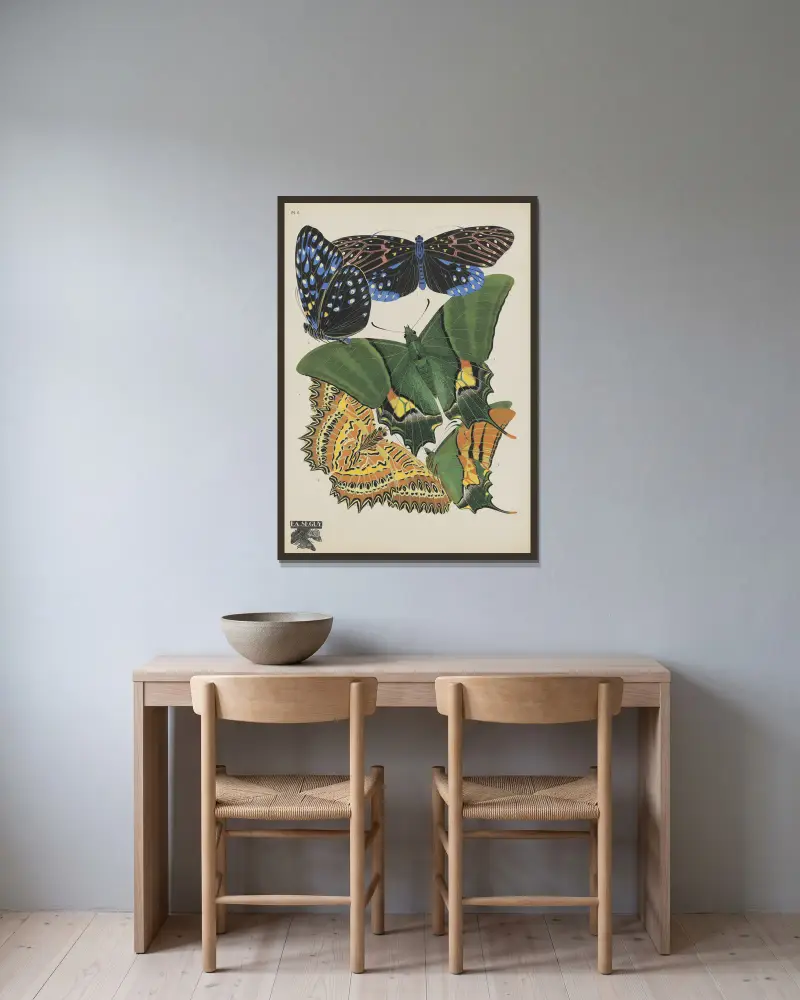 Papillons Pl.06, Emile-Allain Séguy v rámu na stěně