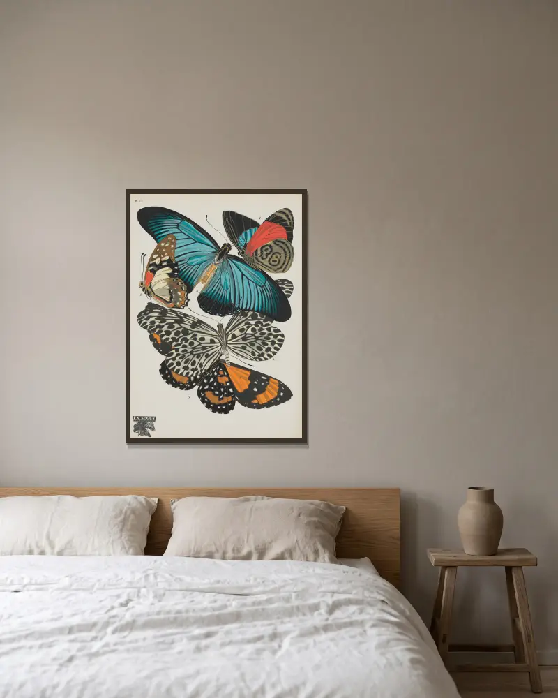 Papillons Taf. 11 von Emile-Allain Séguy gerahmt an einer Wand