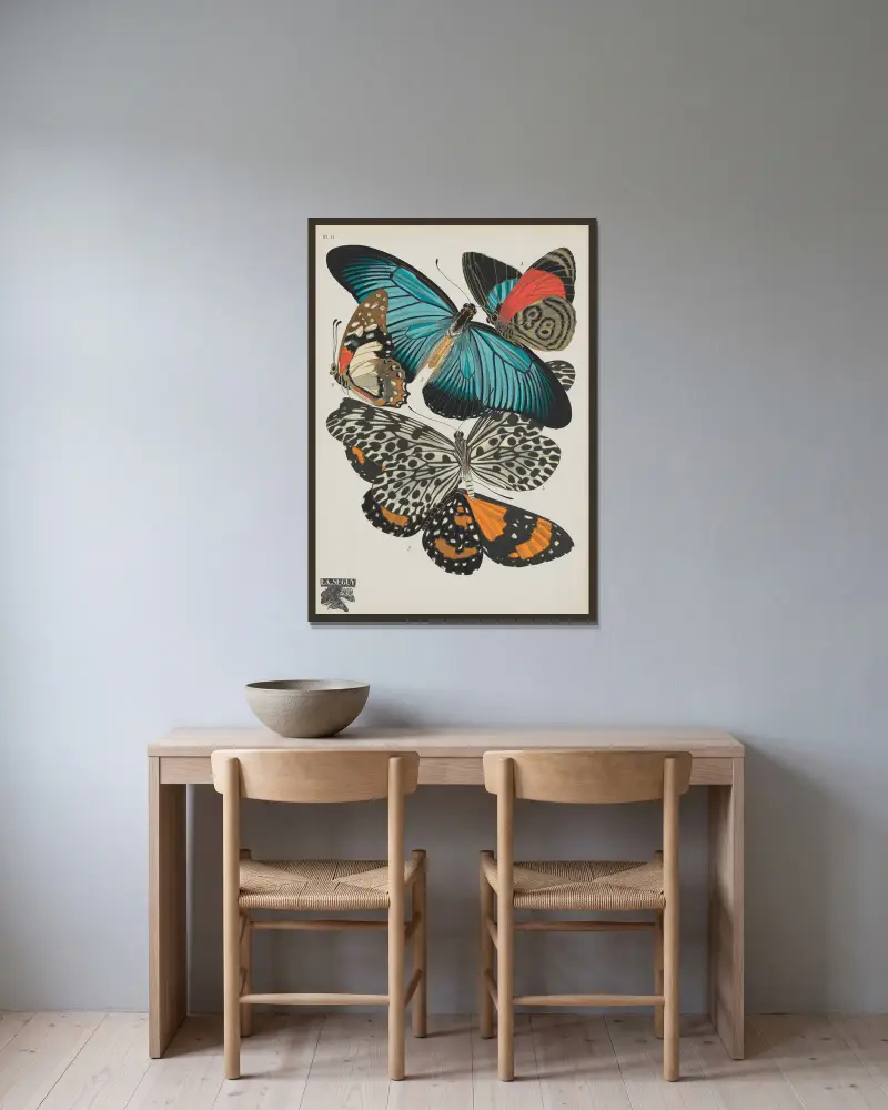 Papillons Taf. 11 von Emile-Allain Séguy gerahmt an einer Wand
