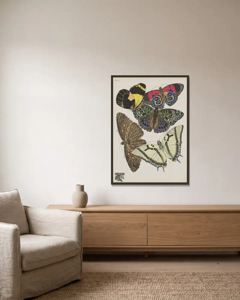Papillons Pl. 12 von Emile-Allain Séguy gerahmt an einer Wand