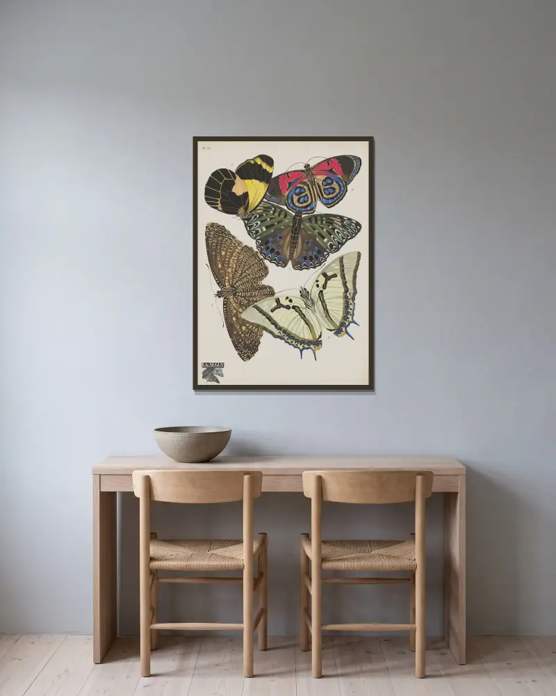 Papillons Pl. 12 von Emile-Allain Séguy gerahmt an einer Wand