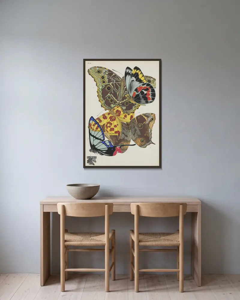 Schmetterlinge Pl. 15 von Emile-Allain Séguy gerahmt an einer Wand
