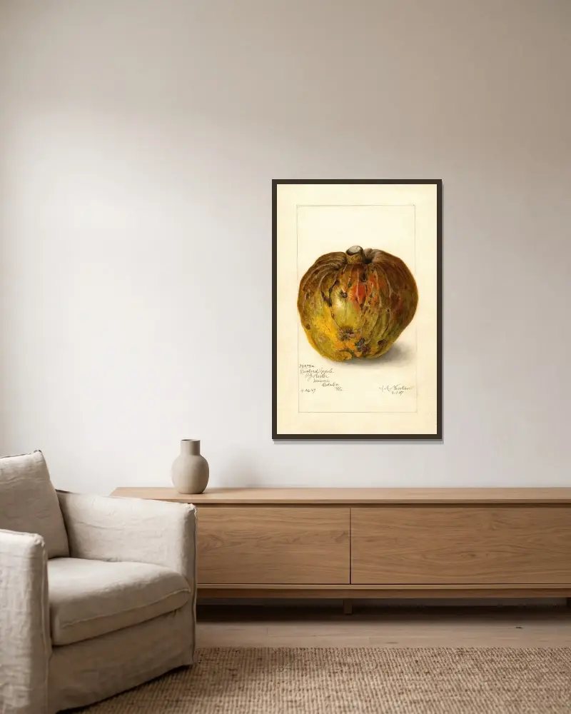 Annona reticulata av Amanda Almira Newton inramad på en vägg