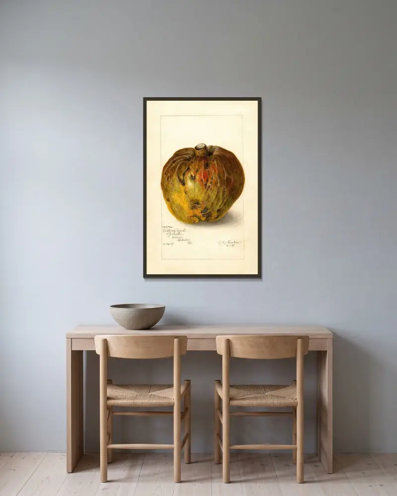 Annona reticulata av Amanda Almira Newton inramad på en vägg