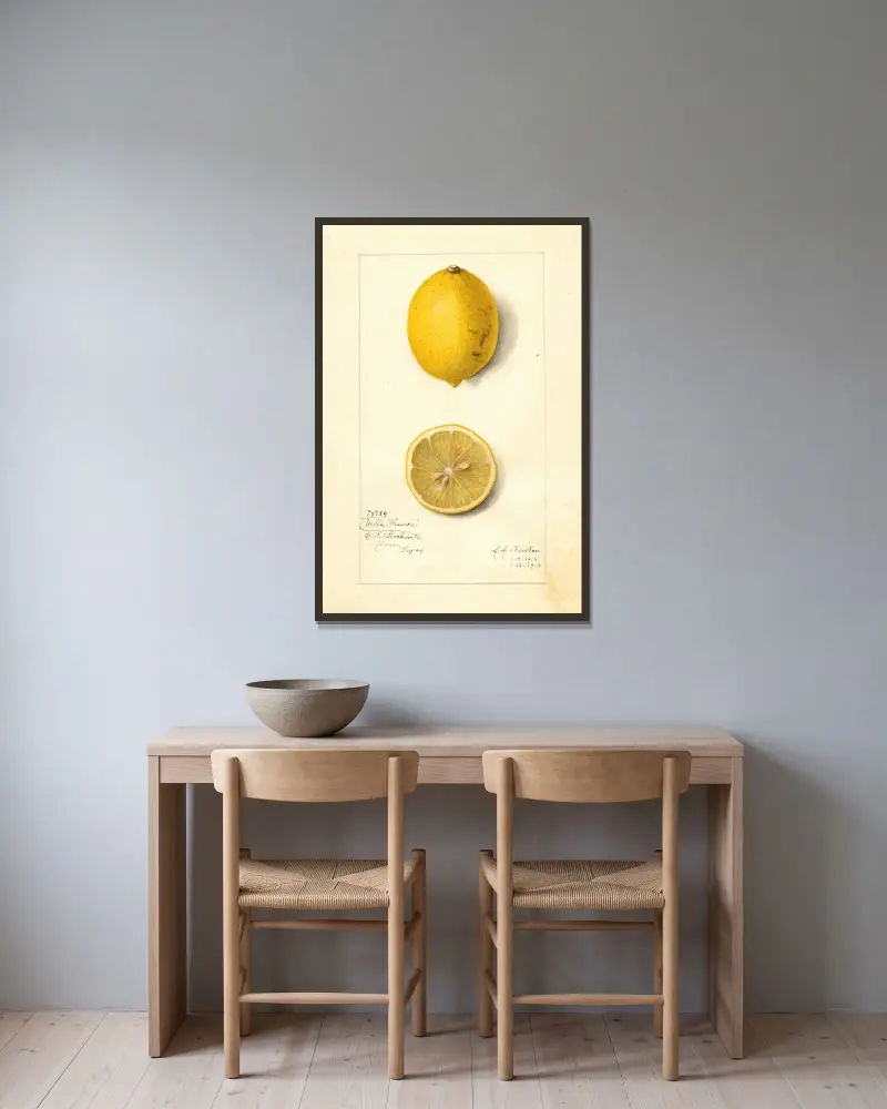 Citrus limon: Villa France av Amanda Almira Newton inramad på en vägg