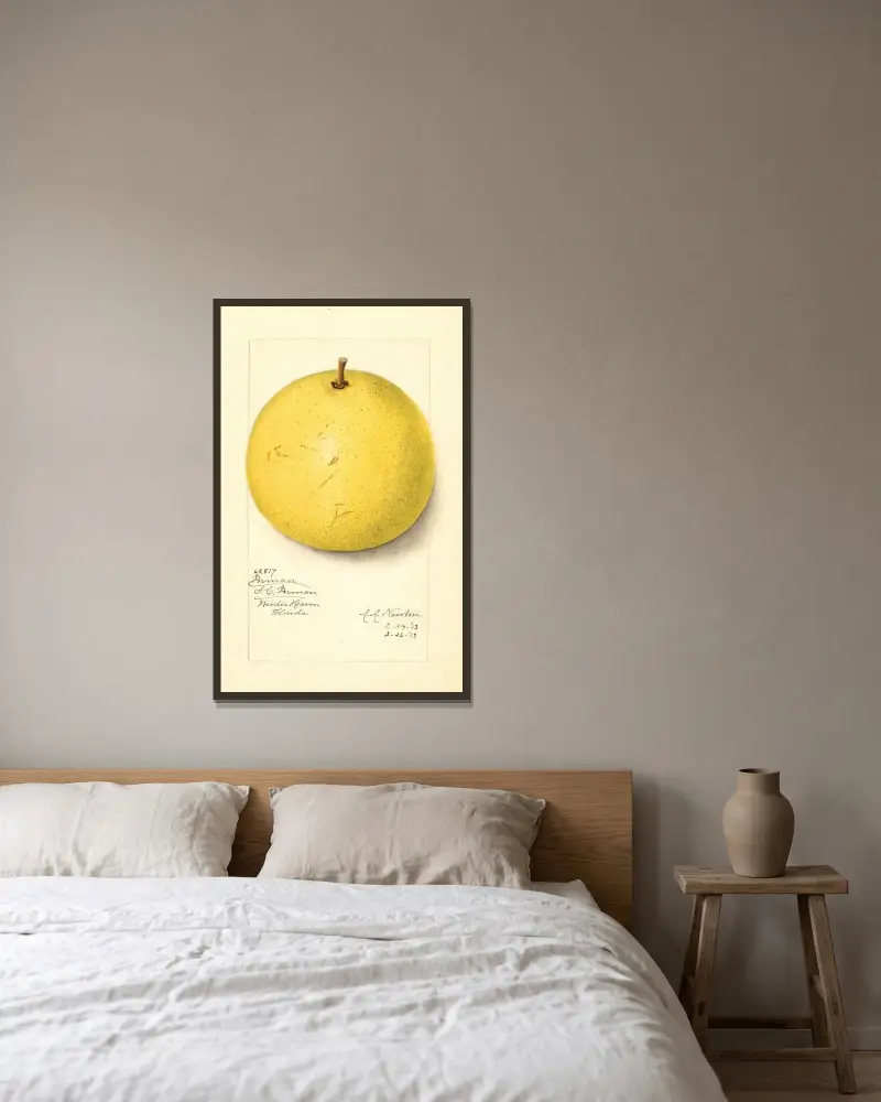Citrus paradisi: Inman av Amanda Almira Newton inramad på en vägg