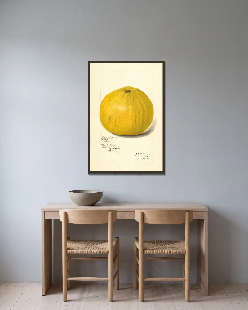 Citrus paradisi: Silver Cluster av Amanda Almira Newton inramad på en vägg