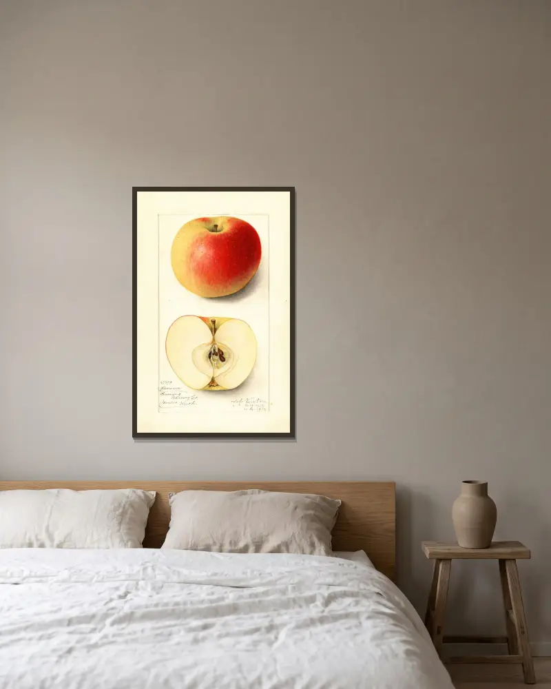 Malus domestica: Banana av Amanda Almira Newton inramad på en vägg