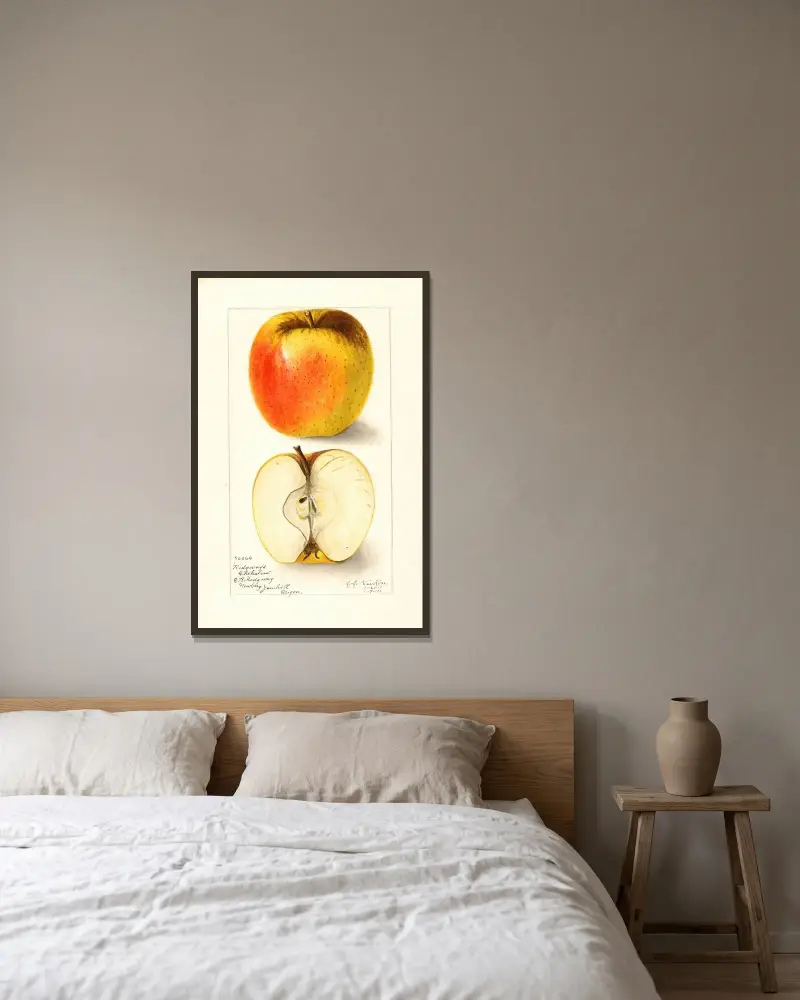 Malus domestica: Ridgeways Chehalem av Amanda Almira Newton inramad på en vägg