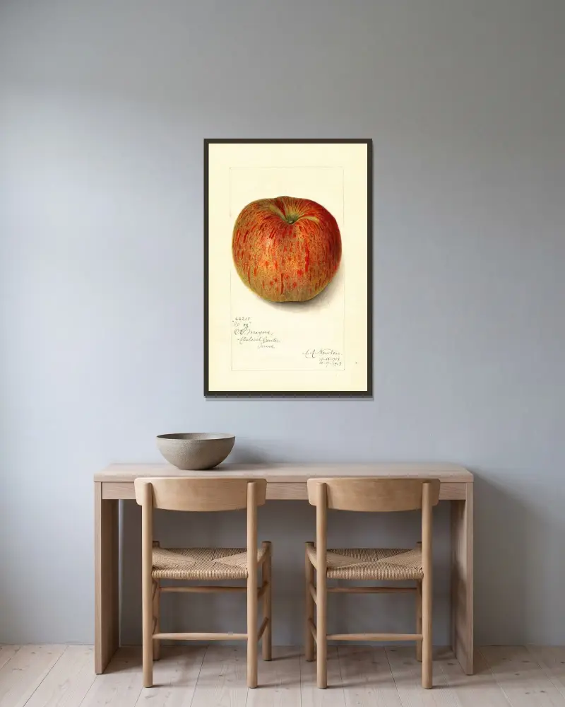 Malus domestica: Twenty Ounce av Amanda Almira Newton inramad på en vägg
