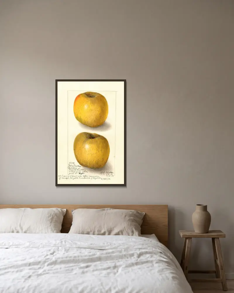 Äpple: Yellow Newtown av Amanda Almira Newton inramad på en vägg