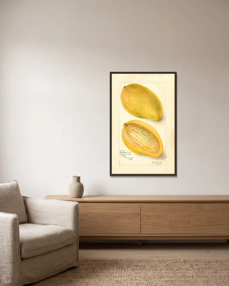 Mangifera indica: Cambodiana (Mango: Cambodiana) av Amanda Almira Newton inramad på en vägg