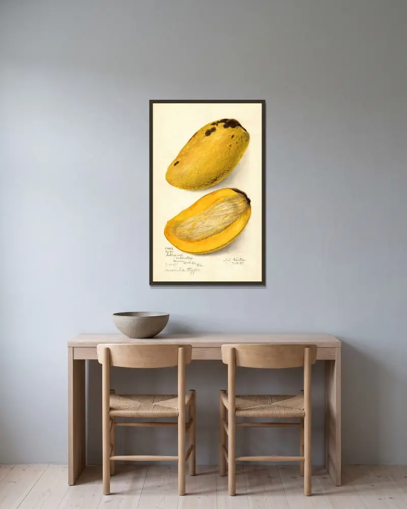 Mangifera indica: Nr. von Amanda Almira Newton gerahmt an einer Wand