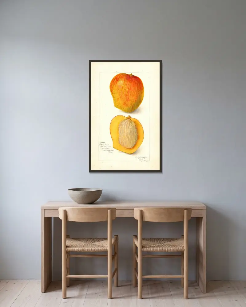 Mangifera indica: Peters No av Amanda Almira Newton inramad på en vägg