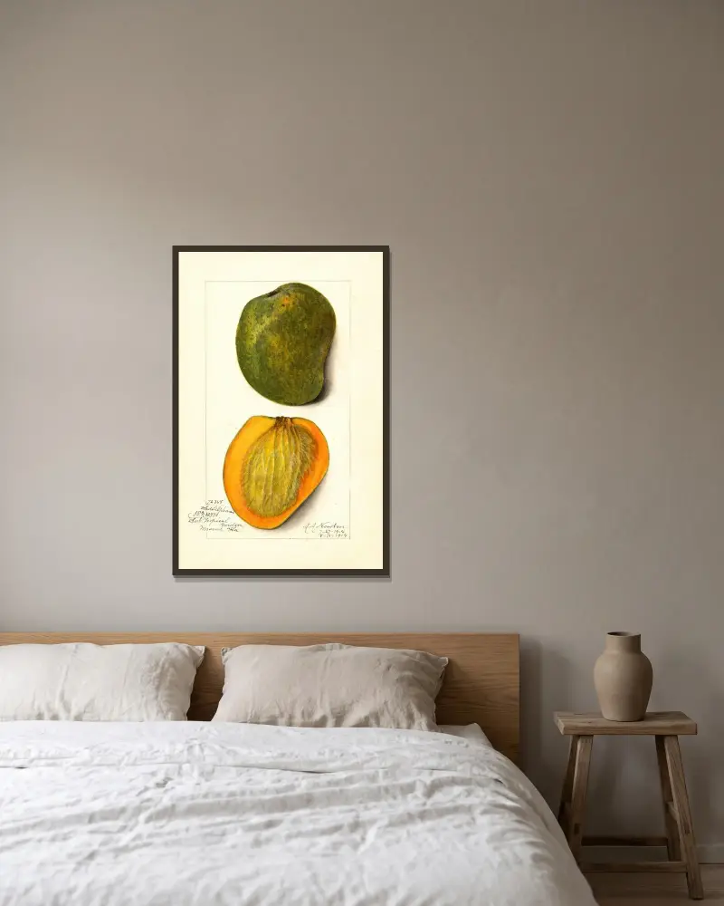 Mangifera indica: White Alphonse av Amanda Almira Newton inramad på en vägg