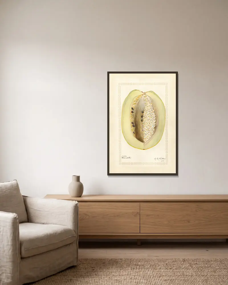 Passiflora quadrangularis, Amanda Almira Newton v rámu na stěně