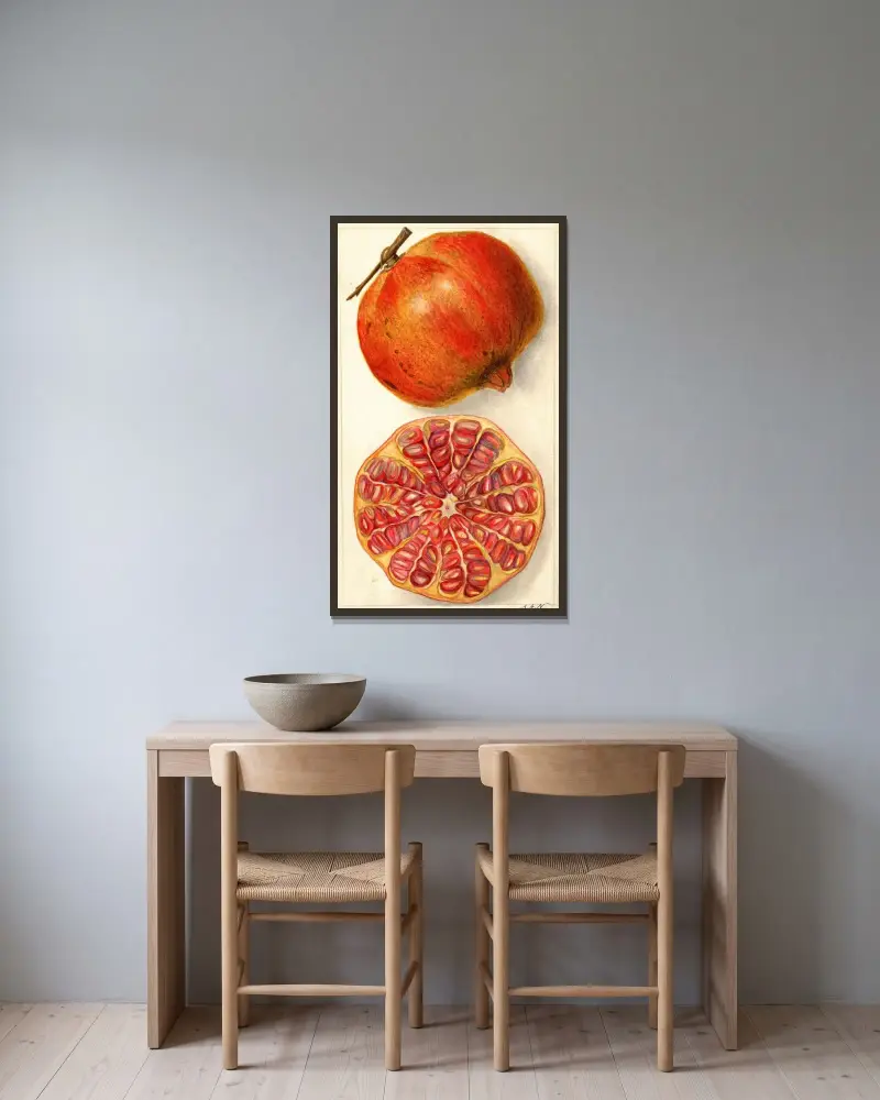 Punica granatum von Amanda Almira Newton gerahmt an einer Wand