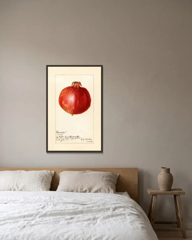Punica granatum: Wonderful av Amanda Almira Newton inramad på en vägg