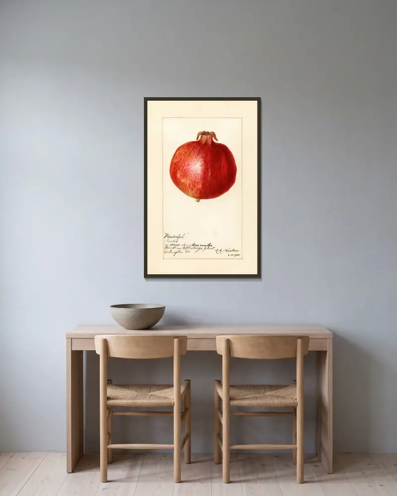 Punica granatum: Wonderful av Amanda Almira Newton inramad på en vägg