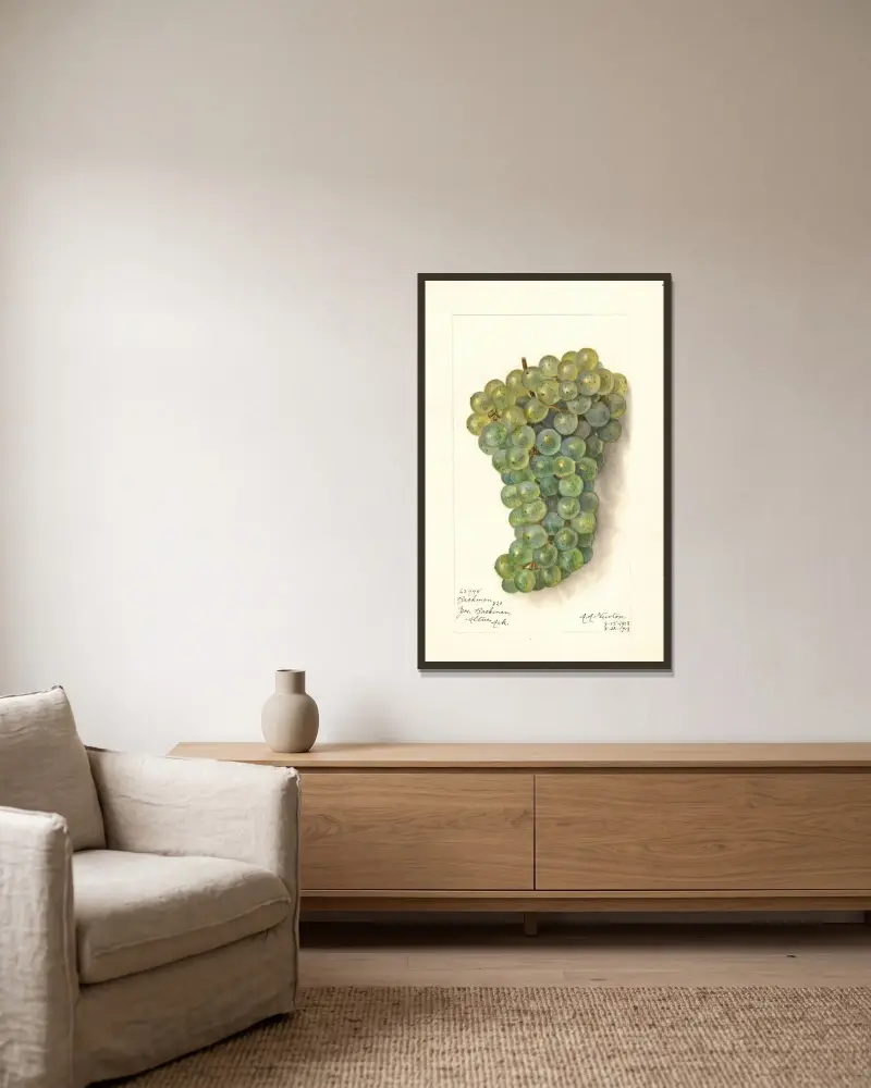 Vitis: Backman von Amanda Almira Newton gerahmt an einer Wand