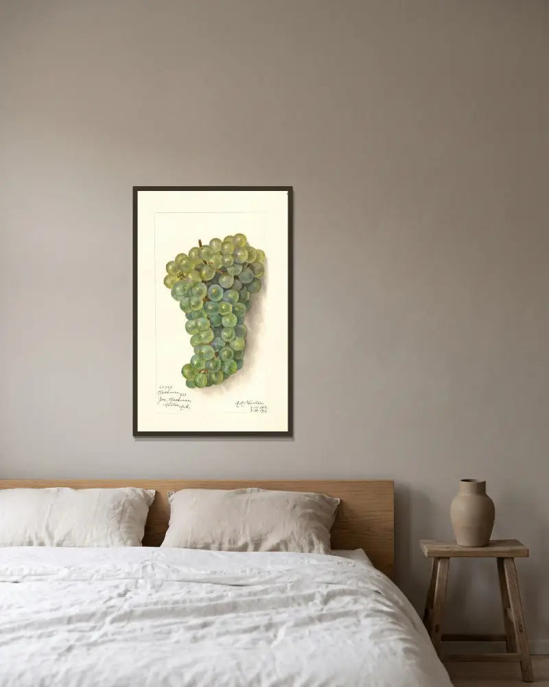 Vitis: Backman von Amanda Almira Newton gerahmt an einer Wand